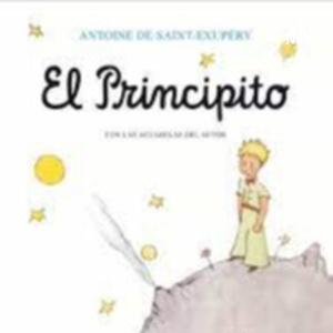 Libro "El Principito" by Emiliano Ruiz Velázquez