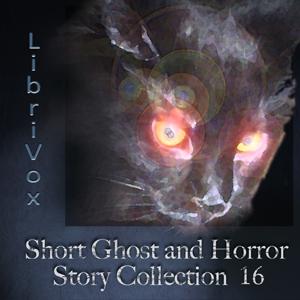 Short Ghost and Horror Collection 016 by Various