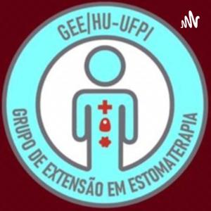 GEE-UFPI