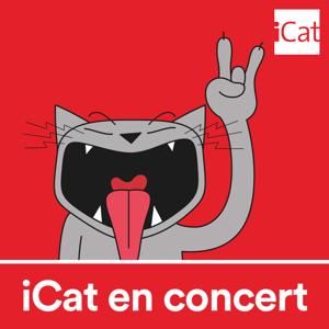 iCat en concert