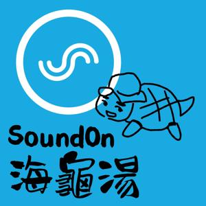 聲浪海龜湯