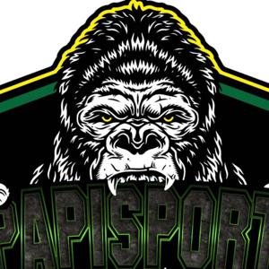 Gpapisports