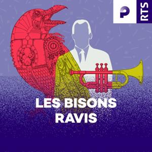 Les bisons ravis ‐ RTS