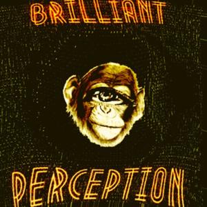 Brilliant Perception