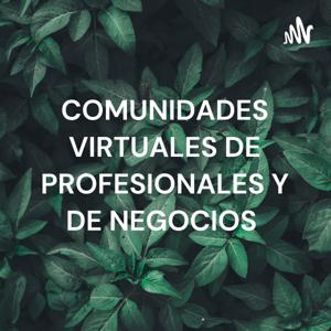 COMUNIDADES VIRTUALES DE PROFESIONALES Y DE NEGOCIOS