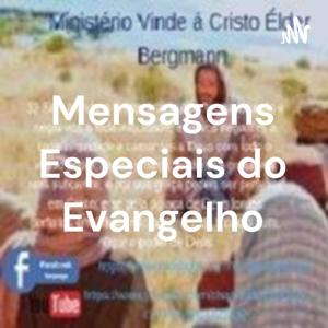 Book 1 Viver o Evangelho Na Sua Essência