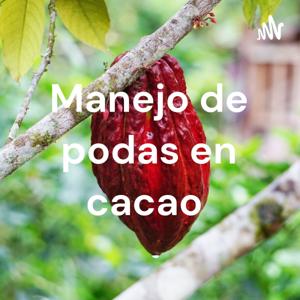 Manejo de podas en cacao