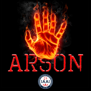 ARSON by Platform Media