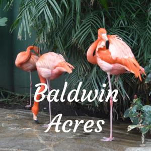 Baldwin Acres