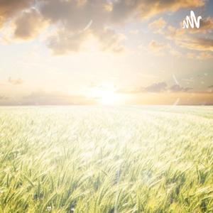 Locutor Pierre Pontes