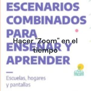 Hacer "Zoom" en el tiempo: una reflexión en torno a los usos de la sincronía y la asincronía.