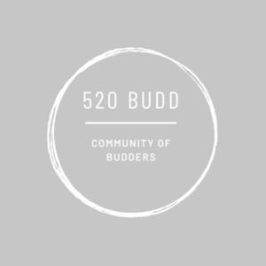 520 BUDD - Ready, Set, Talk!