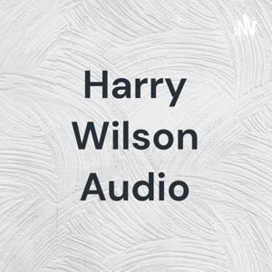 Harry Wilson Audio