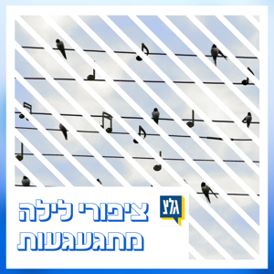 שחר סגל ורועי בר-נתן