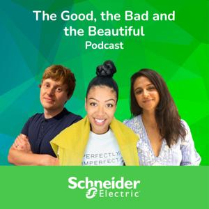 Schneider Electric: The Good, the Bad and the Beautiful