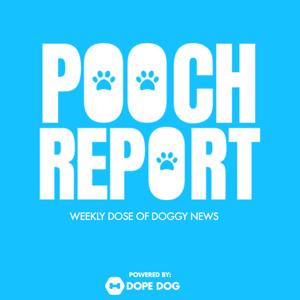 Pooch Report