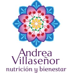 Andrea Villaseñor - Nutrición y Bienestar