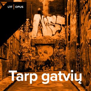 Tarp gatvių