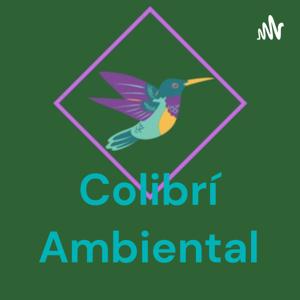 Colibrí Ambiental