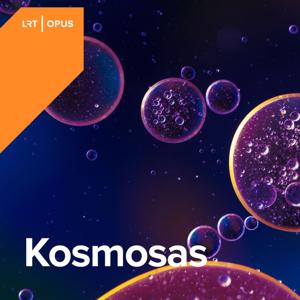 Kosmosas