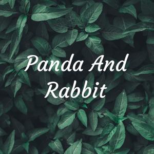 Panda And Rabbit 🐇🐼