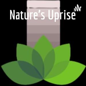 Nature's Uprise, The Discussion