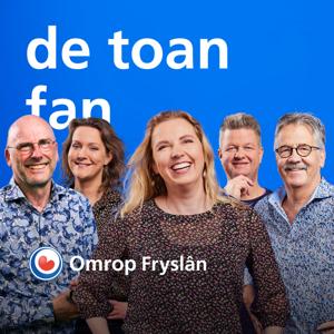 De toan fan fan 'e moarn