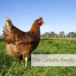 Proverbs – The Catholic Family