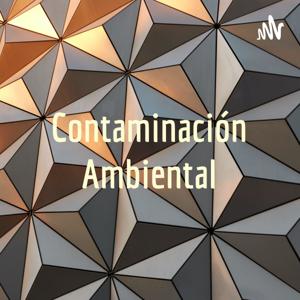 Contaminación Ambiental