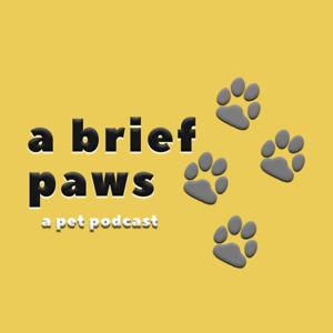 A Brief Paws: a pet podcast