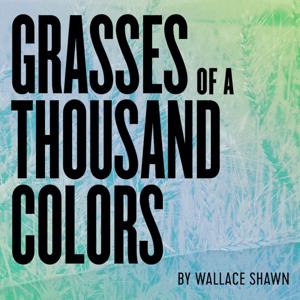 Grasses of a Thousand Colors by Gideon Media