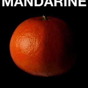 MANDARINE, la photo par Initial Labo