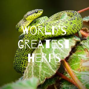 World’s greatest herps