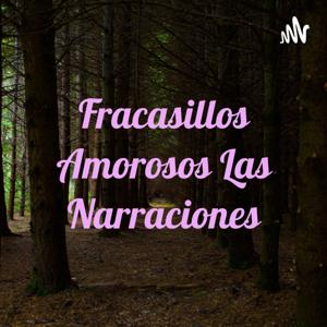 Fracasillos Amorosos Las Narraciones