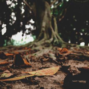 Depressionen Podcast