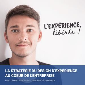 L'expérience libérée
