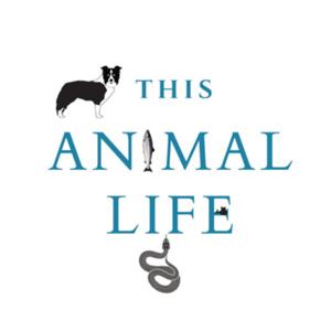 This Animal Life