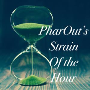 PharOut’s Strain of the Hour
