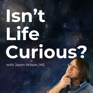 Isn't Life Curious? by Isn't Life Curious?