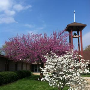 Bethel Evangelical Lutheran Church - Sermons