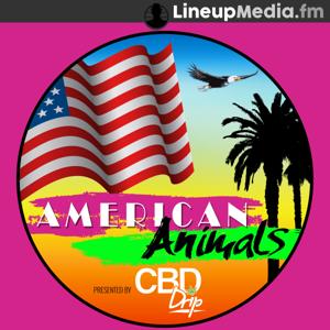 American Animals by LineupMedia.fm