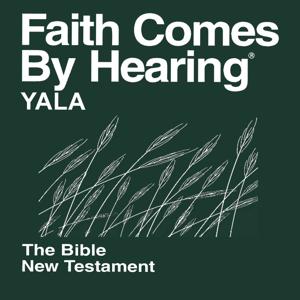 Yala Bible (Non-Dramatized)