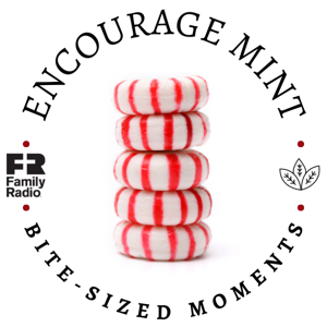 Encourage Mint by Family Radio