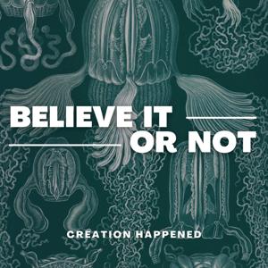 Creation Happened's Believe it Or Not