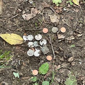 Spare Change with Seth Streich