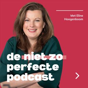 De niet zo perfecte podcast