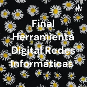 Final Herramienta Digital Redes Informáticas