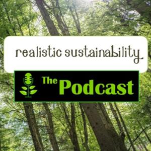 Realistic Sustainability