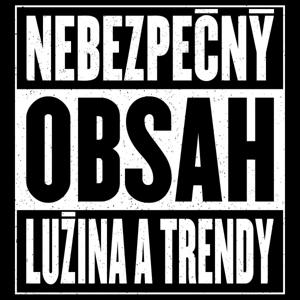 Nebezpečný obsah (Kubo Lužina a Joe Trendy) by Nebezpečný obsah