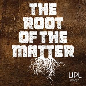 The Root of the Matter